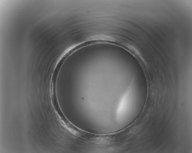 X0000081301125200701181828