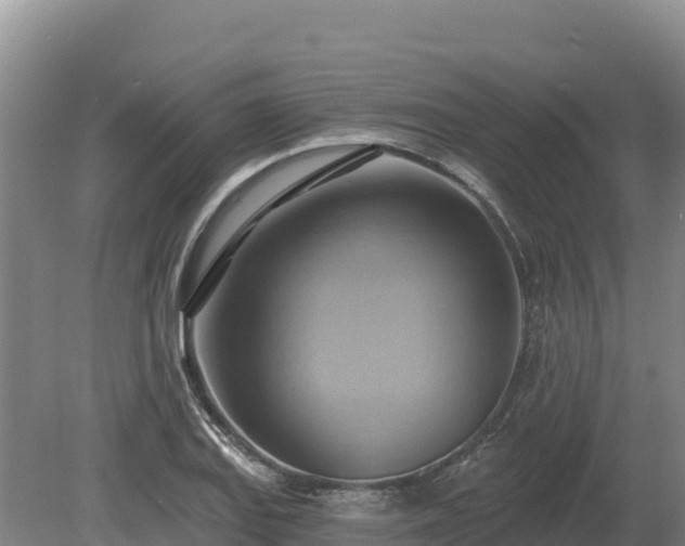 X0000081301127200701181828