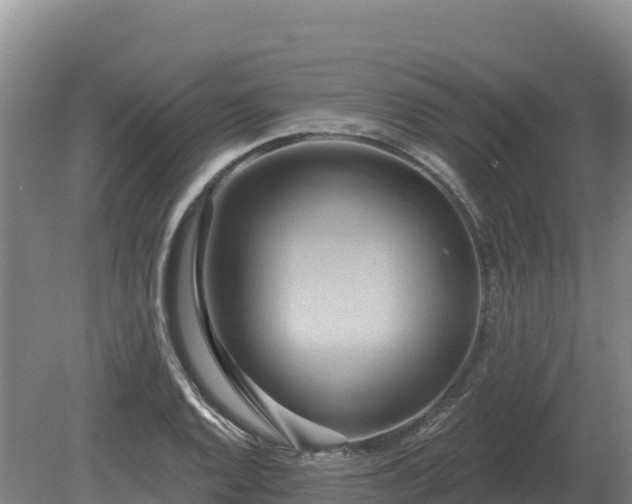 X0000081301128200701181828