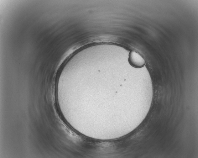 X0000081301130200701181828