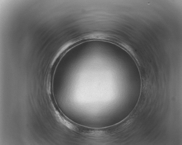 X0000081301131200701181828