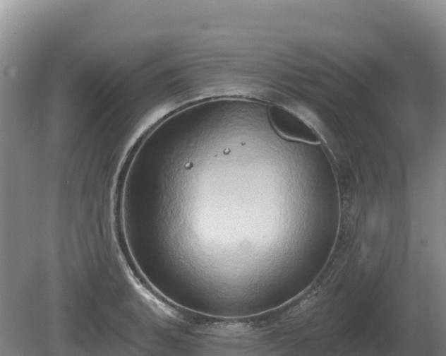 X0000081301135200701181828