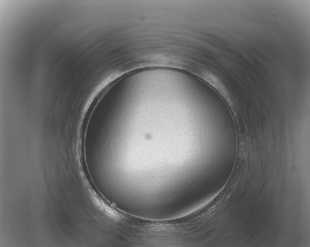 X0000081301136200701181828