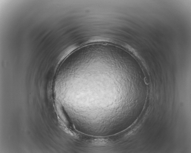 X0000081301137200701181828