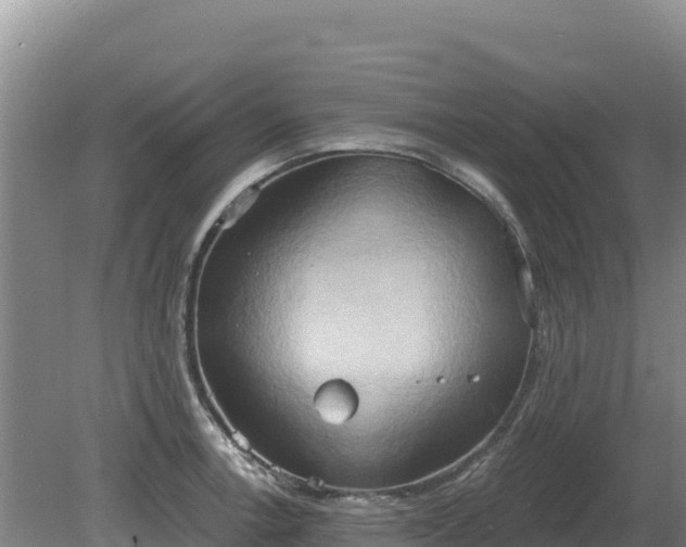 X0000081301138200701181828