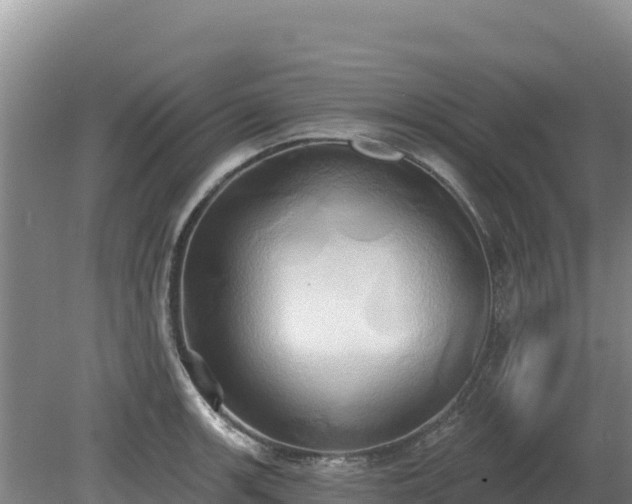 X0000081301139200701181828