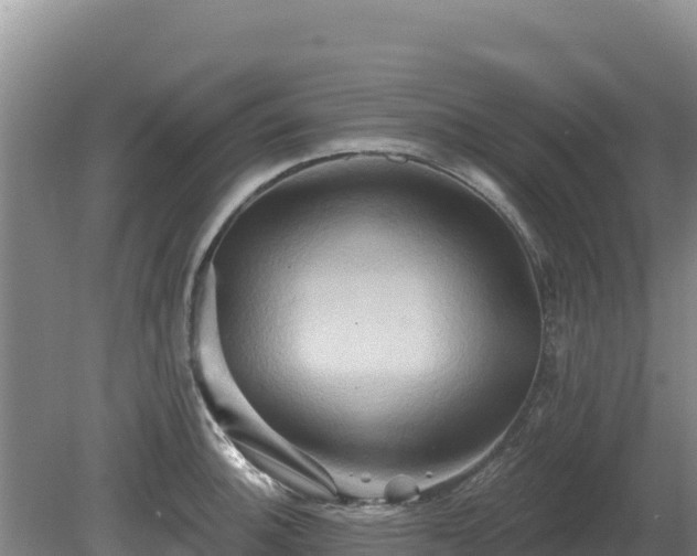 X0000081301140200701181828