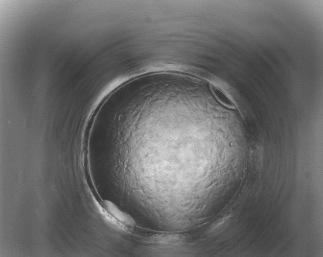 X0000081301143200701181828