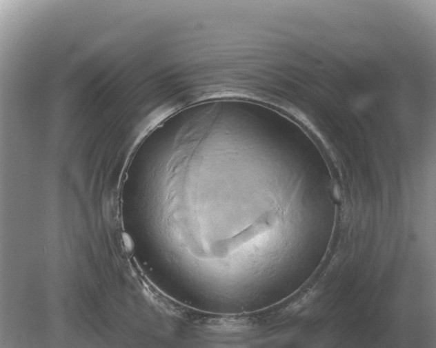 X0000081301145200701181828