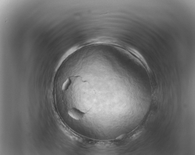 X0000081301146200701181828