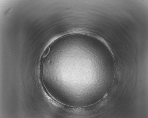 X0000081301147200701181828