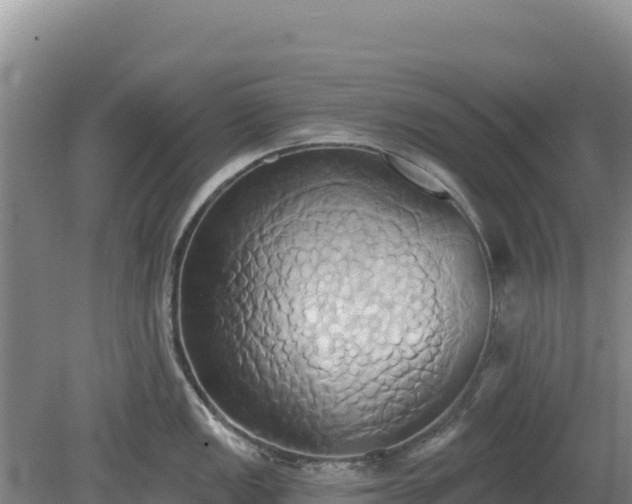 X0000081301149200701181828