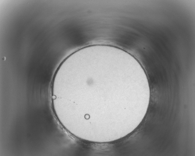 X0000081301150200701181829