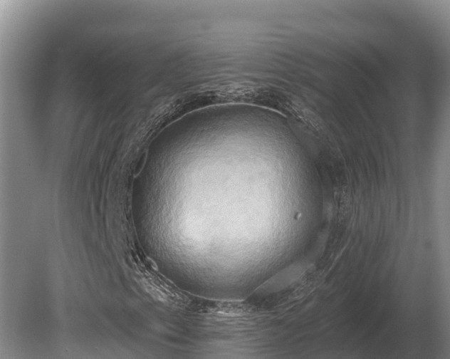 X0000081301153200701181828