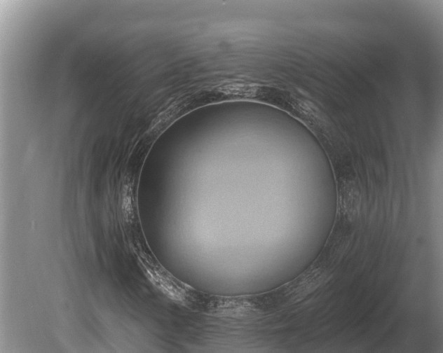 X0000081301154200701181828