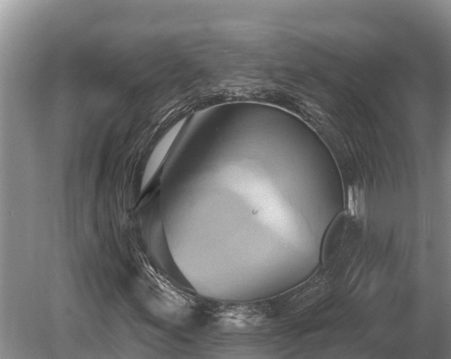 X0000081301155200701181828