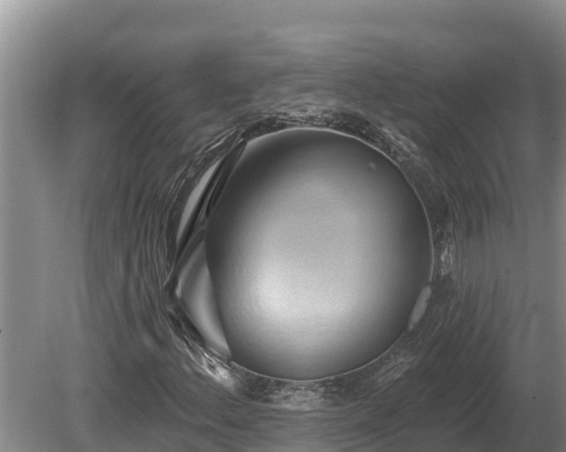 X0000081301156200701181828