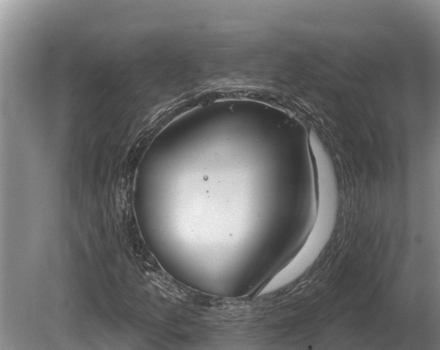 X0000081301157200701181828