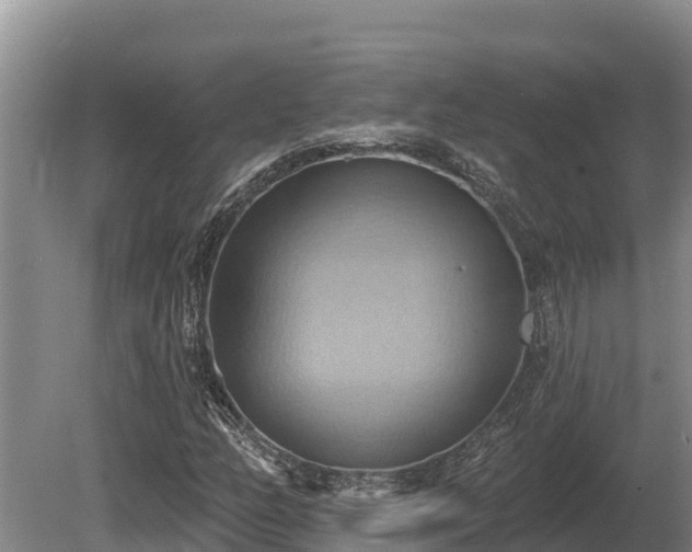 X0000081301158200701181828