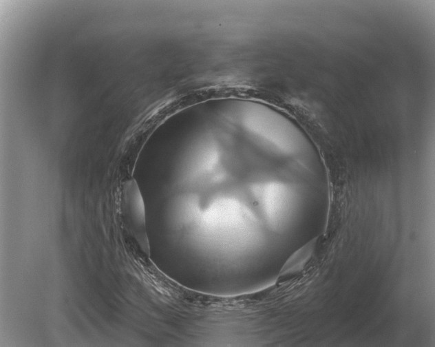 X0000081301159200701181828