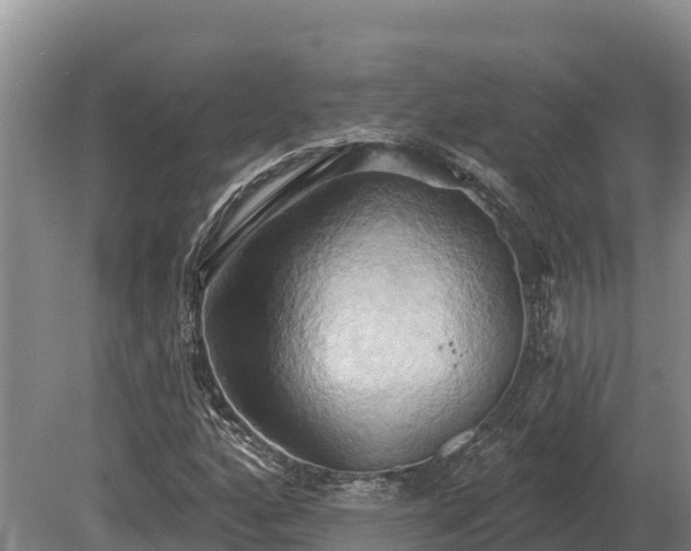 X0000081301160200701181828