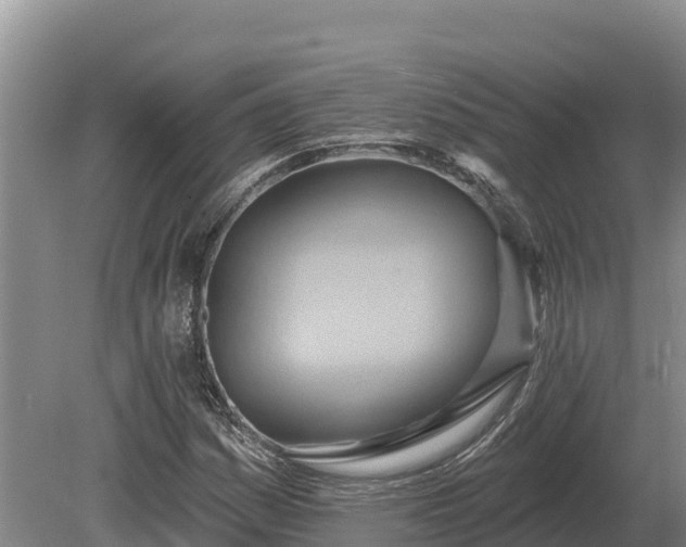 X0000081301161200701181828