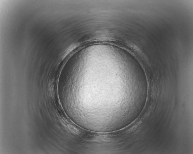 X0000081301162200701181828