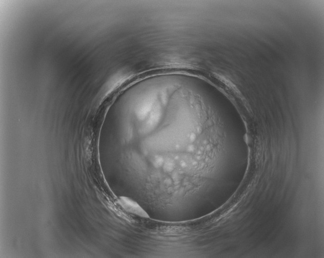 X0000081301163200701181828