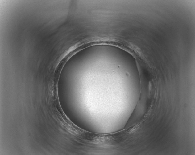 X0000081301165200701181828