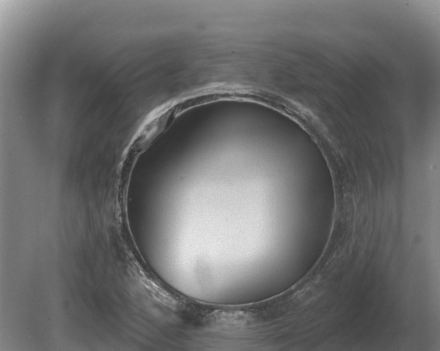 X0000081301168200701181827