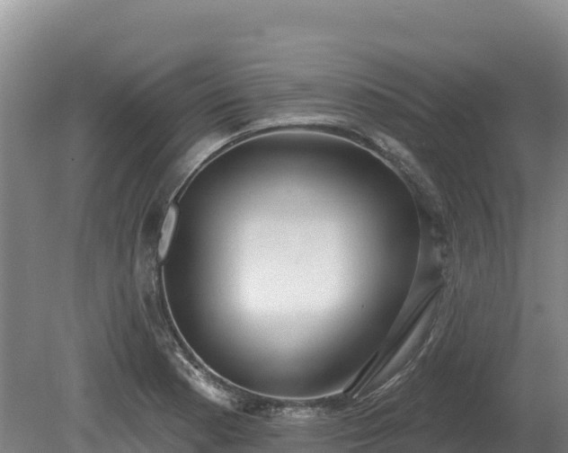 X0000081301177200701181827