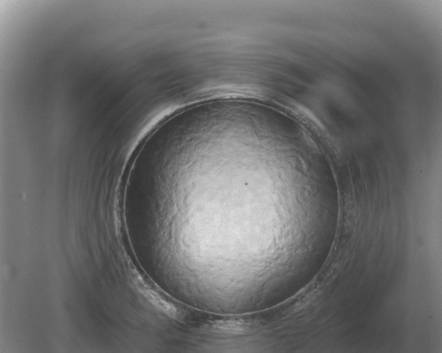 X0000081301182200701181827