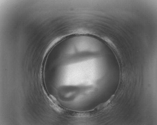 X0000081301183200701181827