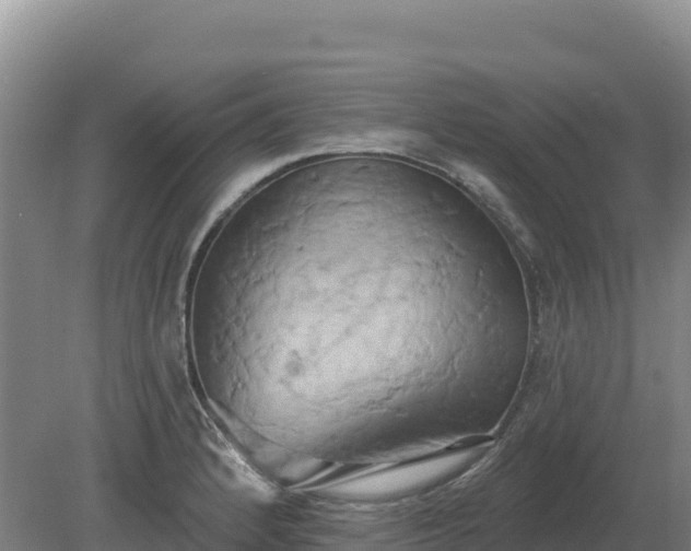 X0000081301184200701181827