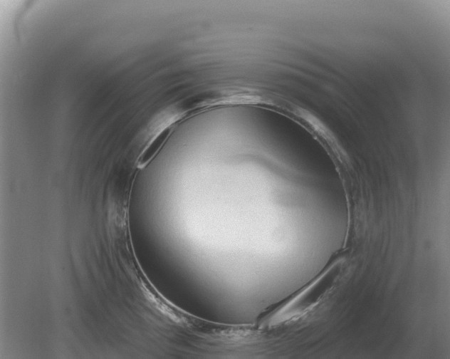 X0000081301193200701181827