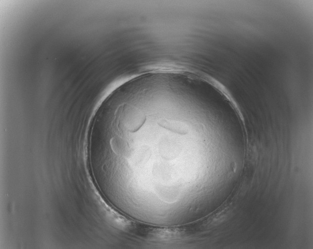 X0000081301195200701181827