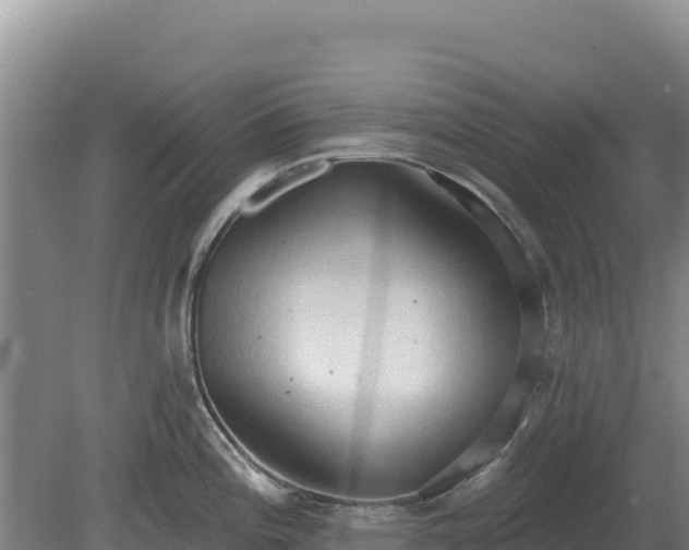 X0000081301196200701181827