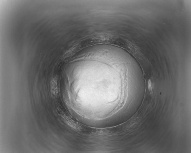X0000081301203200701181826