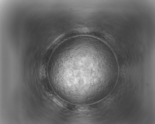 X0000081301205200701181826