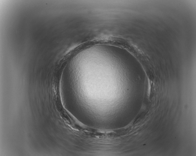 X0000081301206200701181826