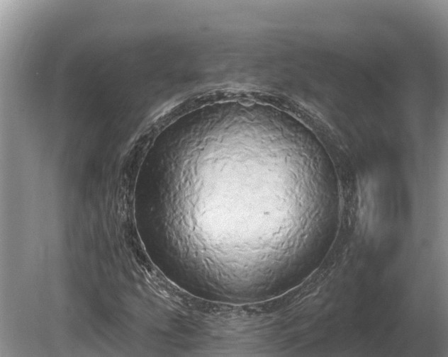 X0000081301207200701181826