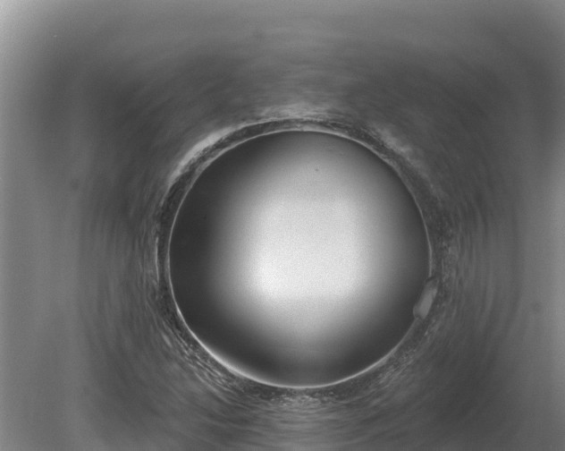 X0000081301214200701181826