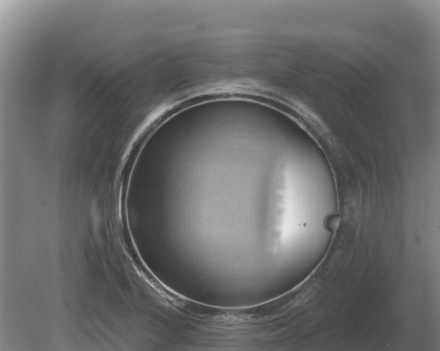 X0000081301224200701181827