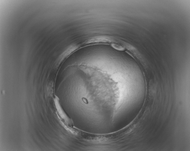 X0000081301233200701181827