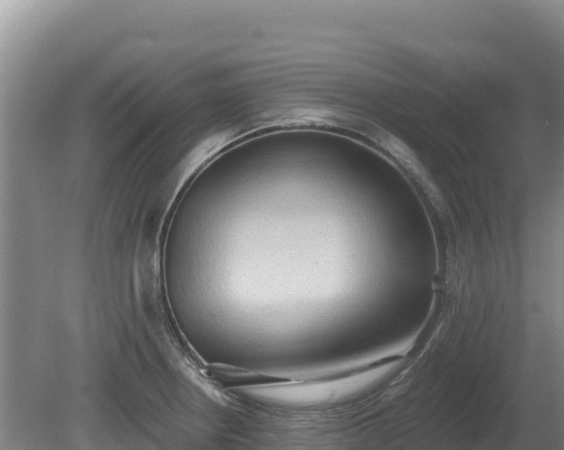 X0000081301234200701181827