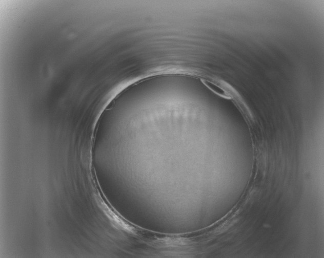 X0000081301244200701181827