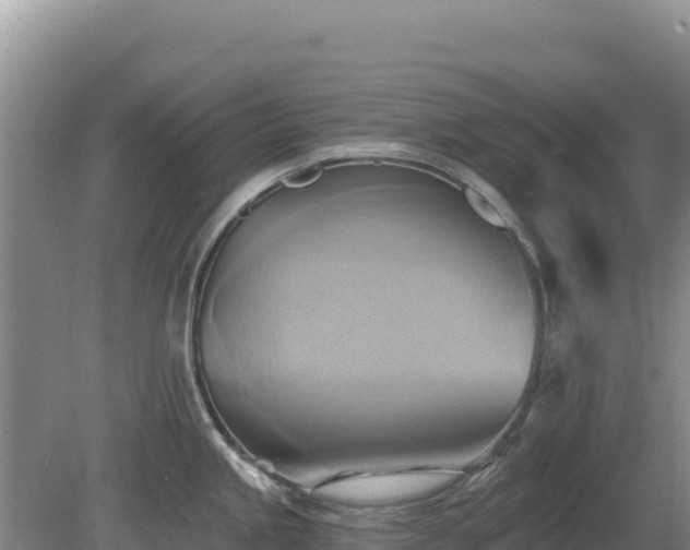 X0000081301245200701181827