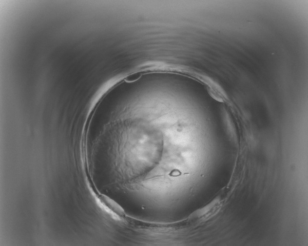 X0000081301247200701181827