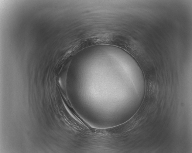 X0000081301250200701181826