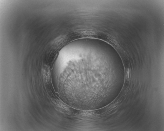 X0000081301251200701181826